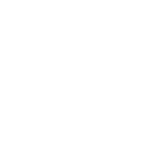 Vexogram Logo